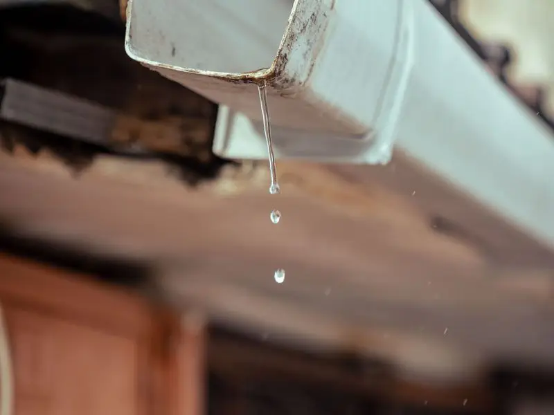 Rusted gutter dripping water leak close up